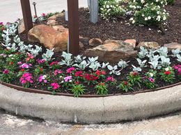 A garden with flowers and rocks on the side of the road
