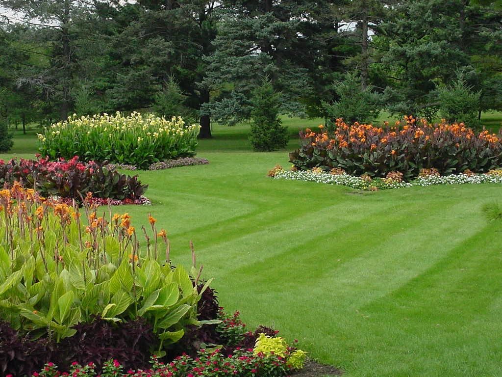 A garden with flowers and a bench in front of a fence