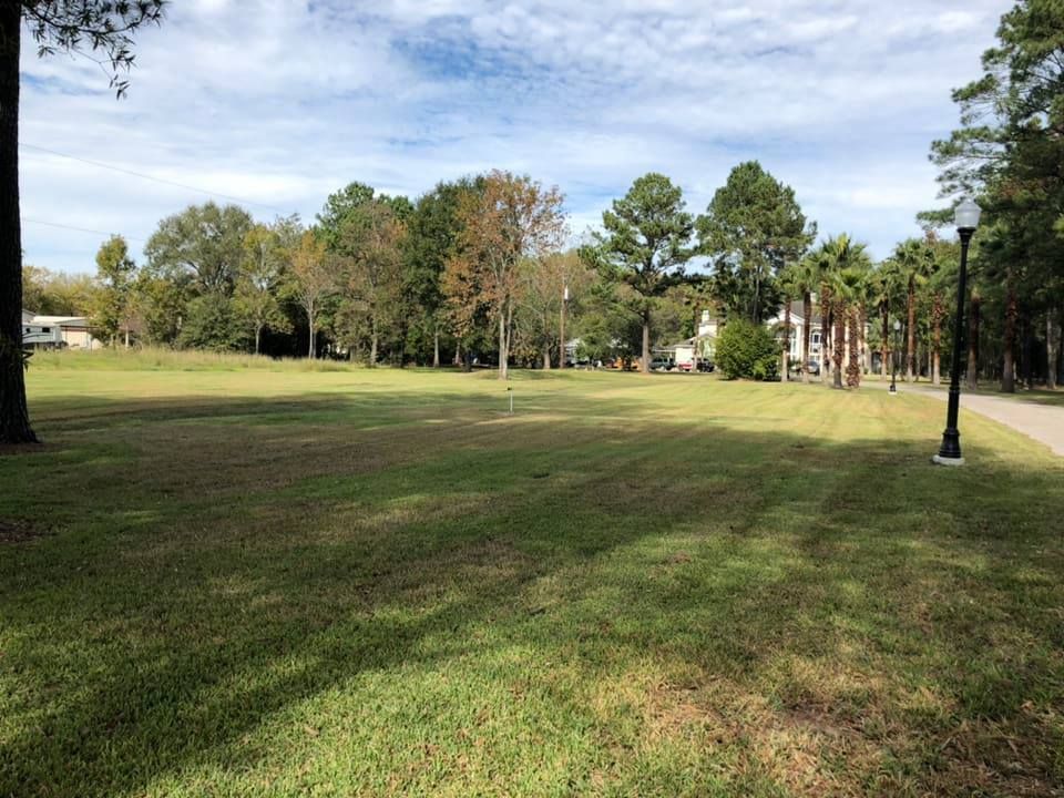 A large grassy field with trees in the background and a street light in the foreground.