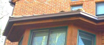 6 Inch Seamless Box Gutter with 4x4 Box Downspouts in The Pinery Colorado
