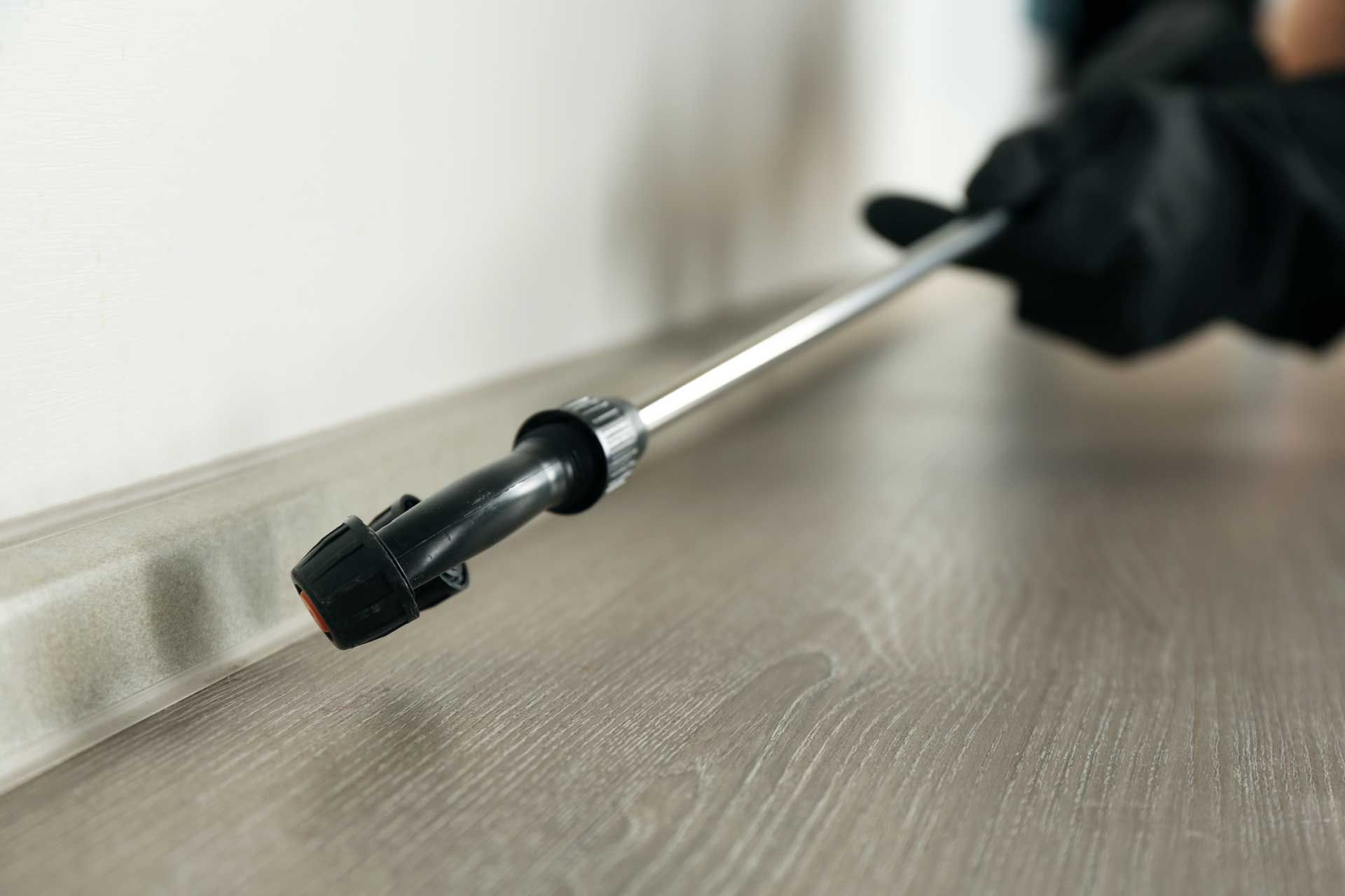 Gloved hand spraying insecticide along a baseboard.