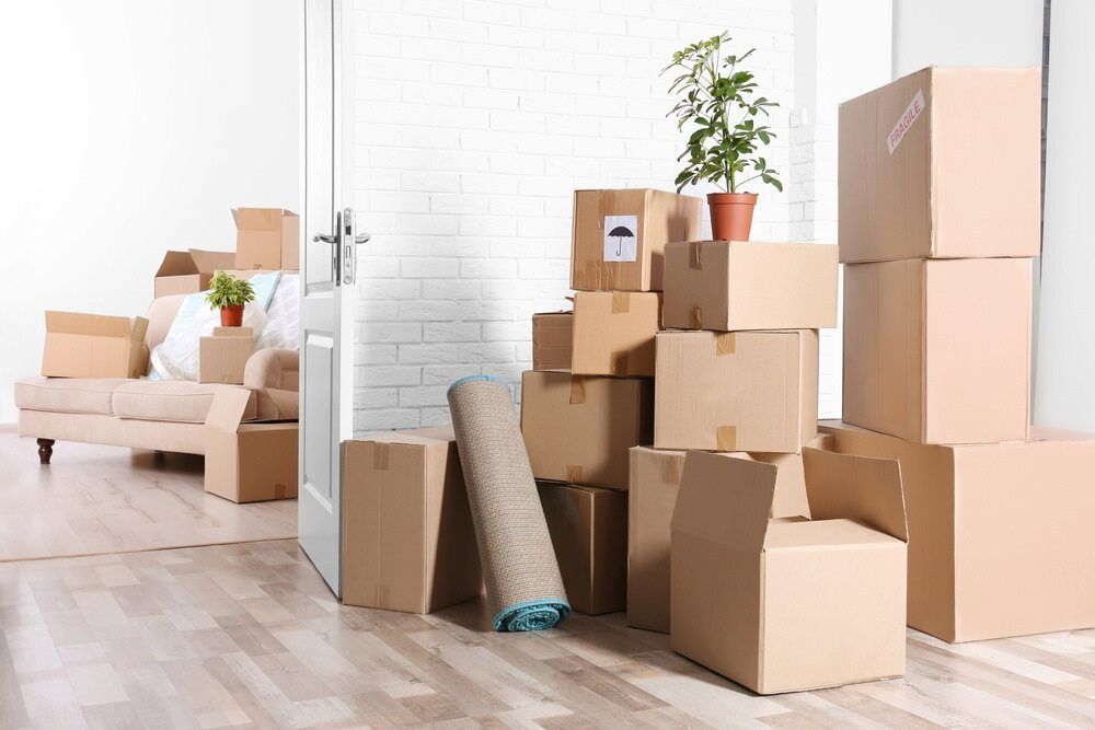 A Living Room Filled With Cardboard Boxes And A Rug — Newcastle Moving & Storage in Cardiff, NSW