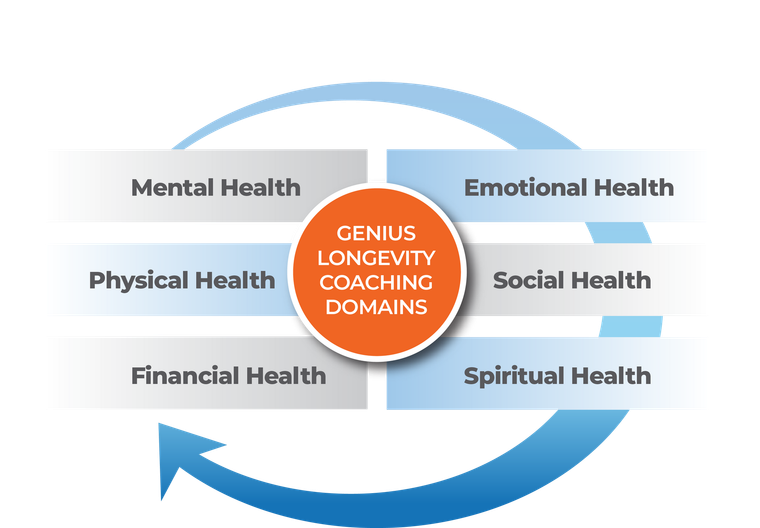 A diagram of genius longevity coaching domains