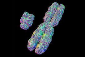 A computer generated image of a chromosome on a black background.