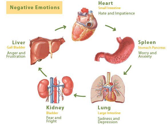 A diagram of negative emotions in the human body