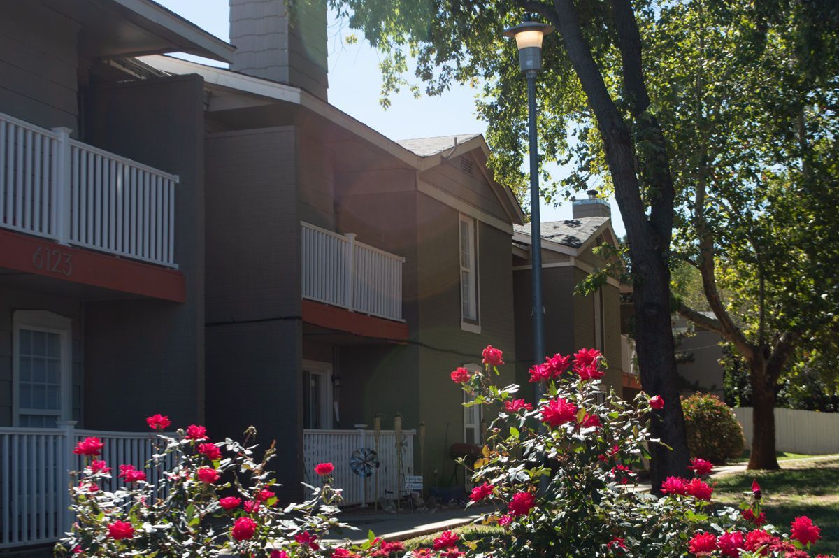 Apartment building with balconies, red trim, and red roses in front on a sunny day.