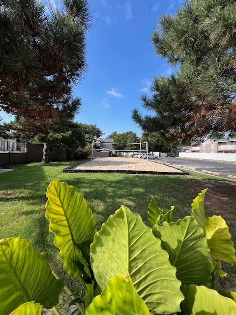 Volleyball court in a park with green grass and trees, blue sky.