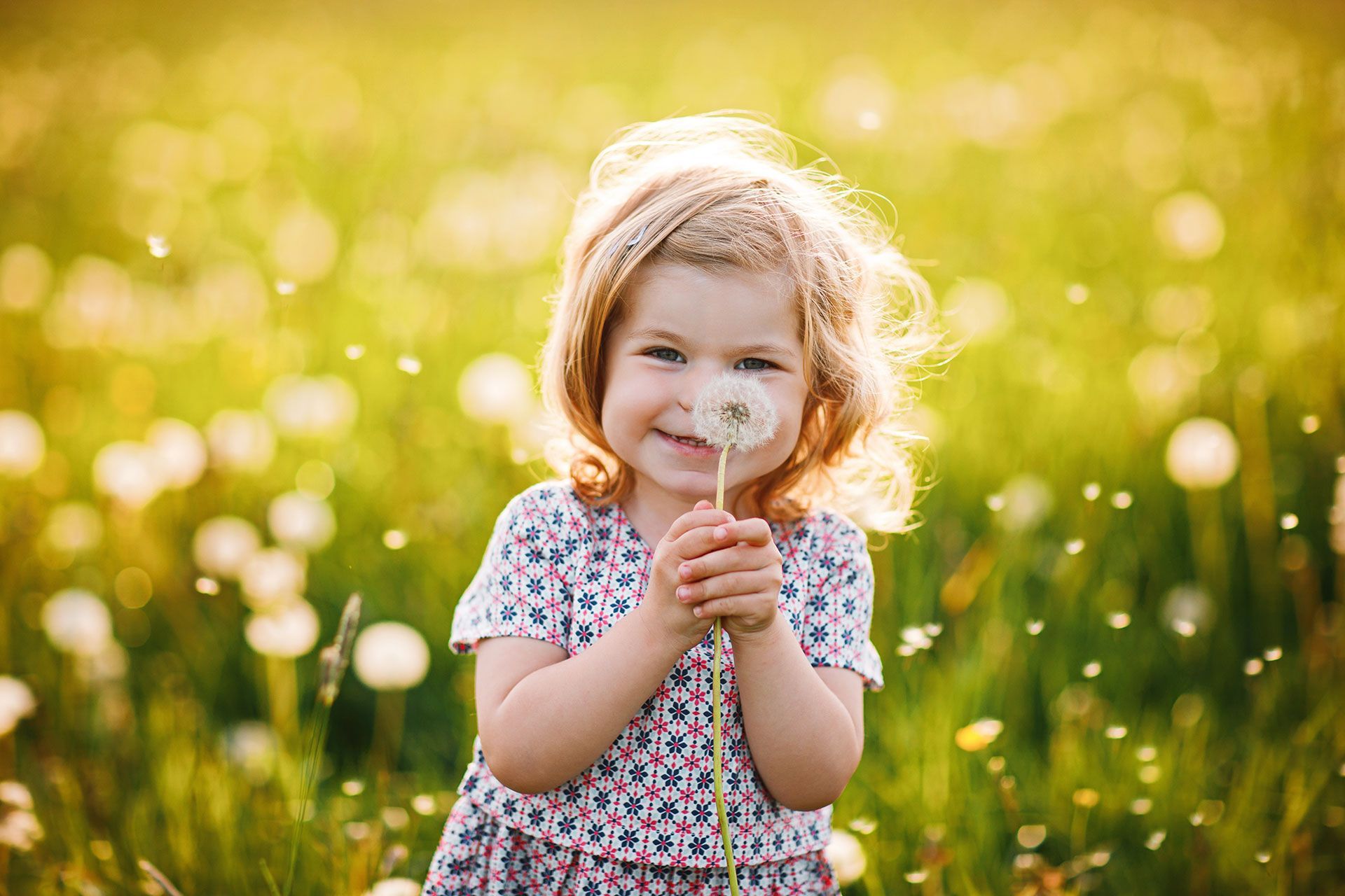 A little girl is blowing a dandelion in a field of dandelions.