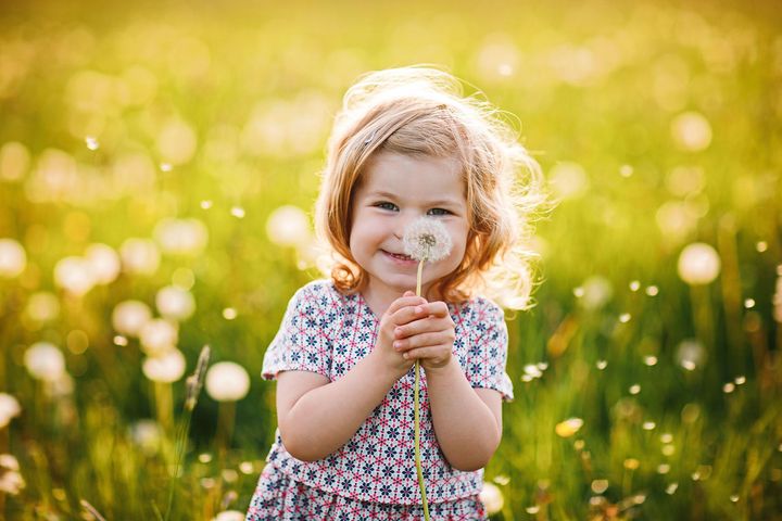 A little girl is blowing a dandelion in a field of dandelions.