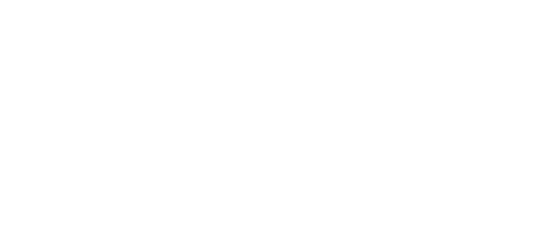 logo aricanduva