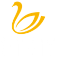 Swan River Civil logo with a swan icon.