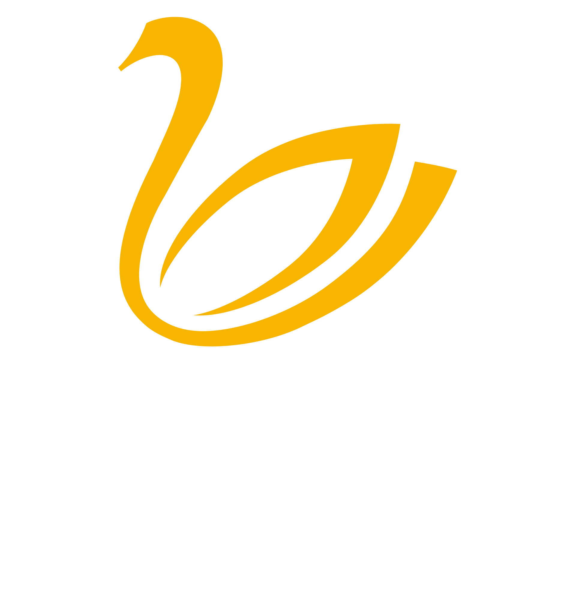 Swan River Civil logo with a swan icon.