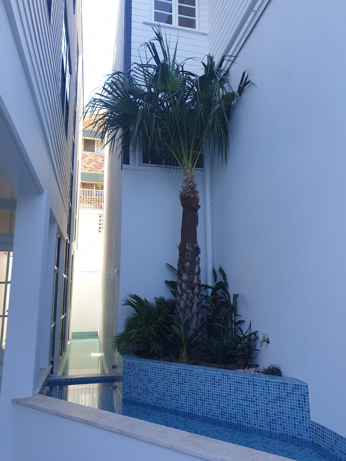 A swimming pool with a palm tree in the middle of it