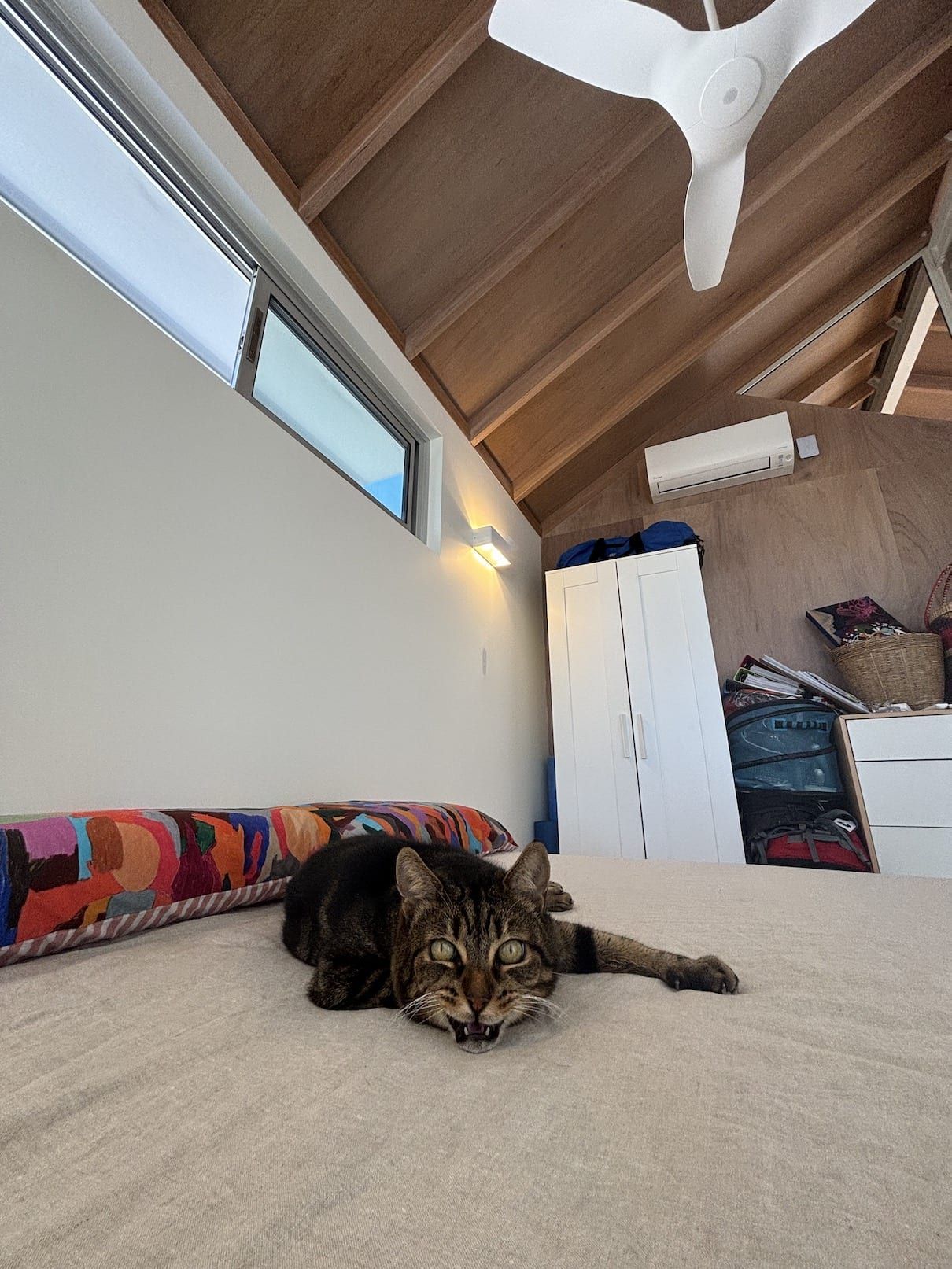 A cat is laying on a bed in a bedroom with a ceiling fan.