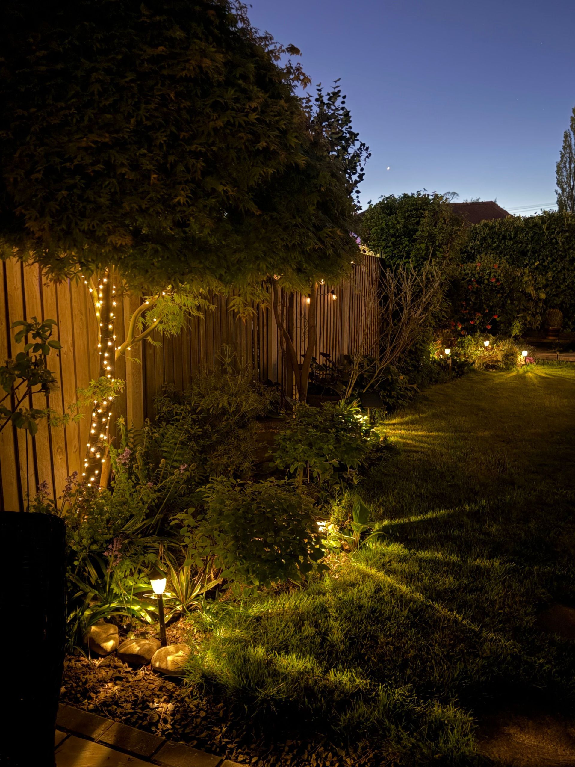 Dusk-lit backyard garden with trees, shrubs, and warm pathway lights along a wooden fence