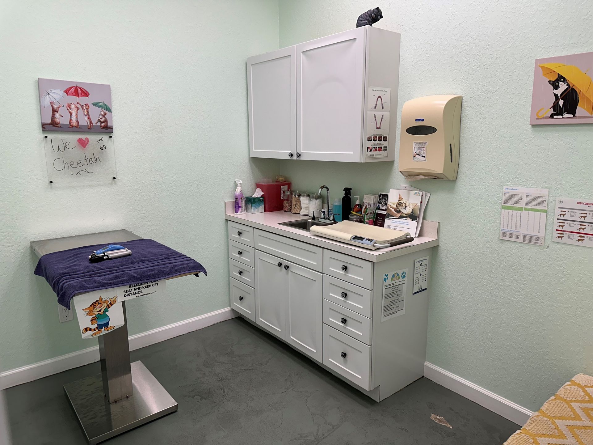 A veterinarian 's office with a table and cabinets