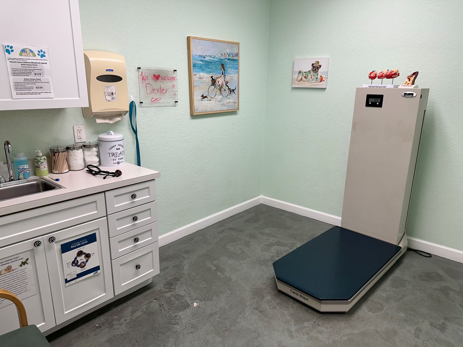 A veterinarian 's office with a table , cabinets , sink and paintings on the wall.
