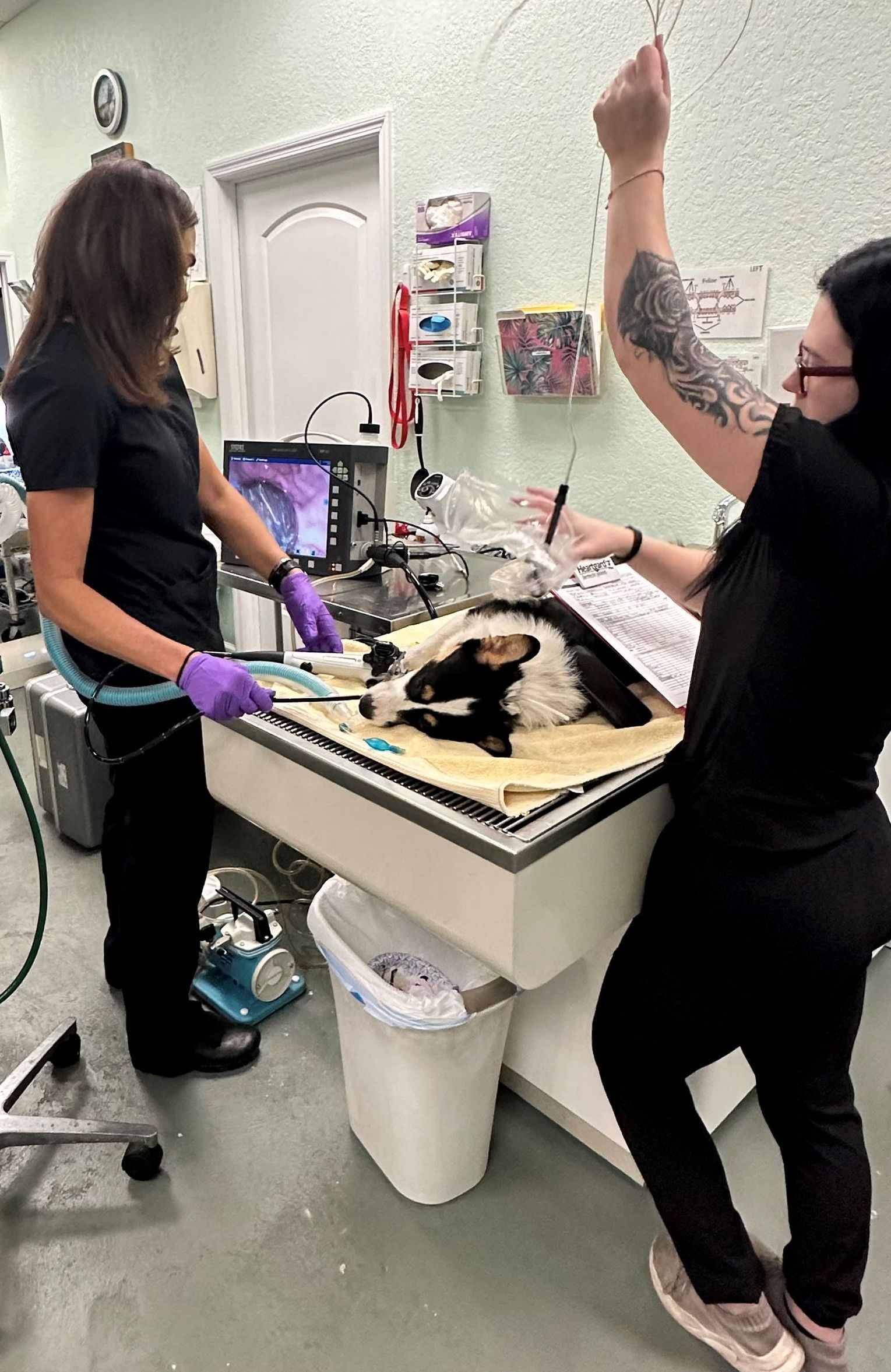 A person is pointing at a laptop computer on a table.