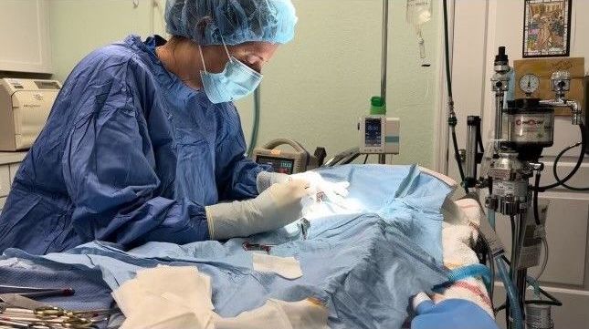 A veterinarian 's office with a stainless steel table and cabinets.