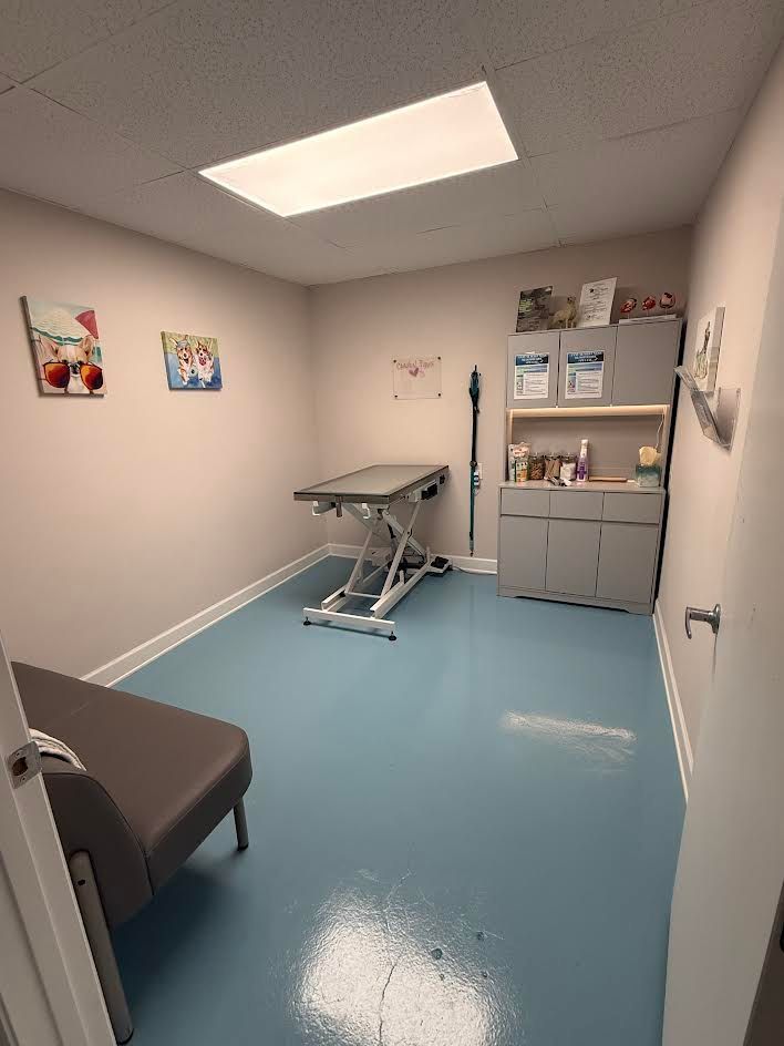 A veterinarian 's office with a table , cabinets , sink and paintings on the wall.