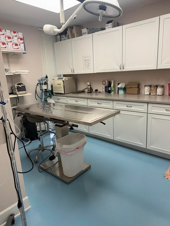An empty operating room with a pink towel on the bed.