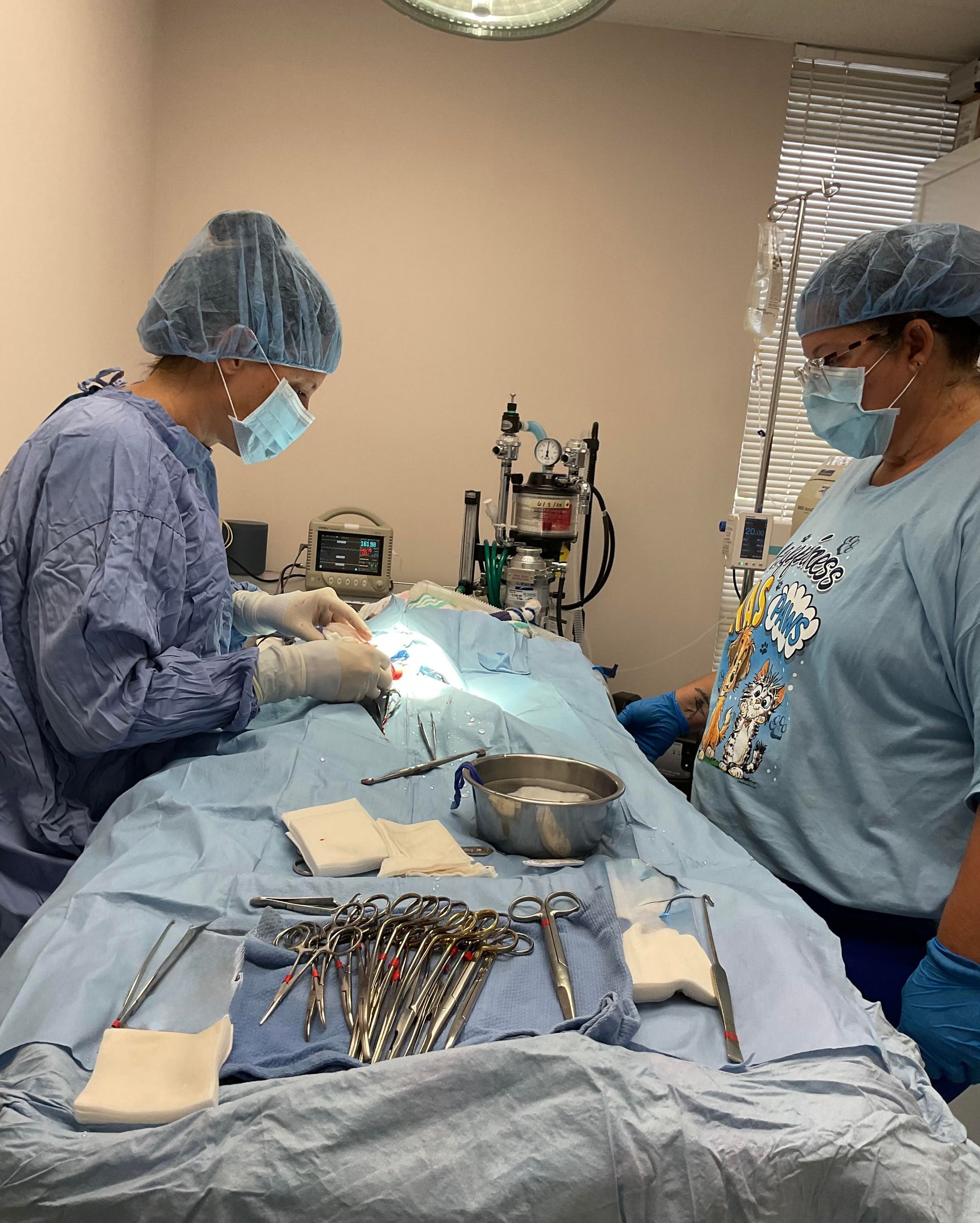 A surgeon is operating on a dog in an operating room while a person holds a clipboard.