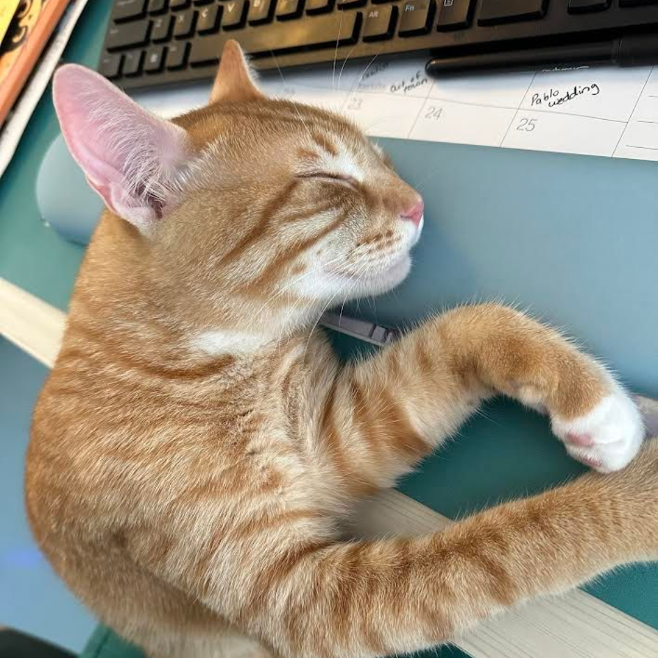 Group of people with dogs posing for a photo in a brightly lit room; some smiling, some holding dogs.