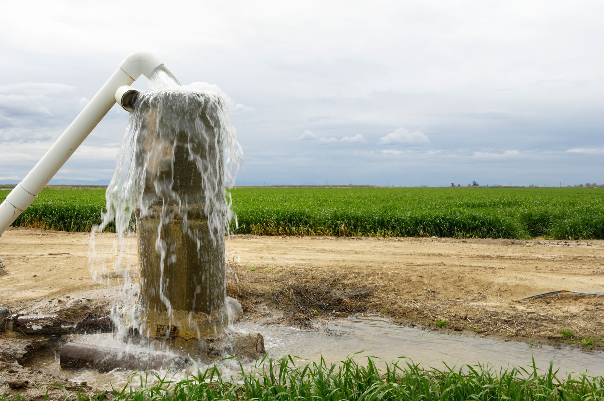 A man is working on a swimming pool pump in a manhole cover.