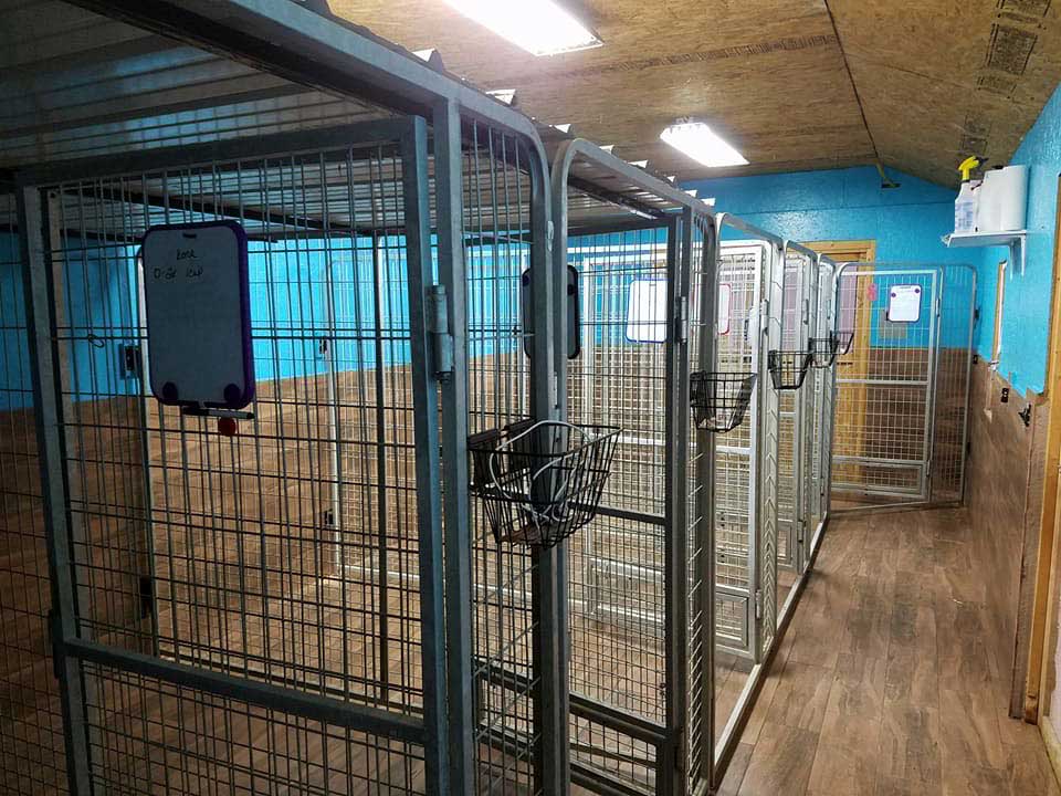 Large Kennel Cage - Bastrop, TX - K9 Mastery