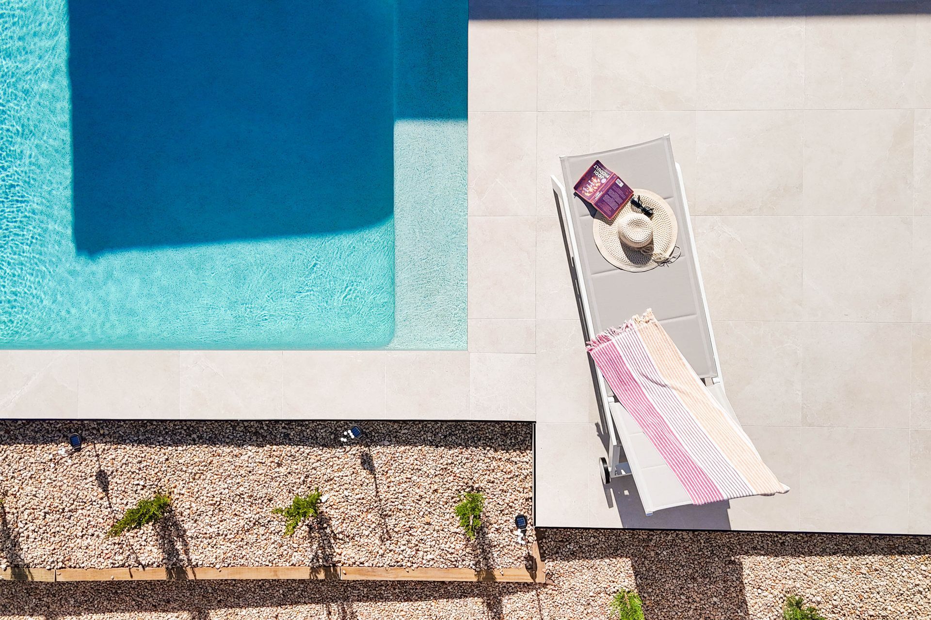 Dog Sits by a Modern Pool, Looking Out — Concrete Pool Projects in Gladstone Central, QLD