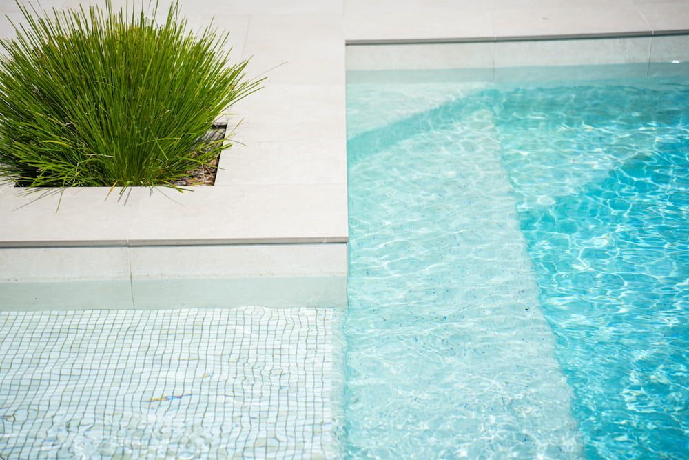 Modern Pool With Clear Water and a Planted Border — Concrete Pool Projects in Gladstone Central, QLD