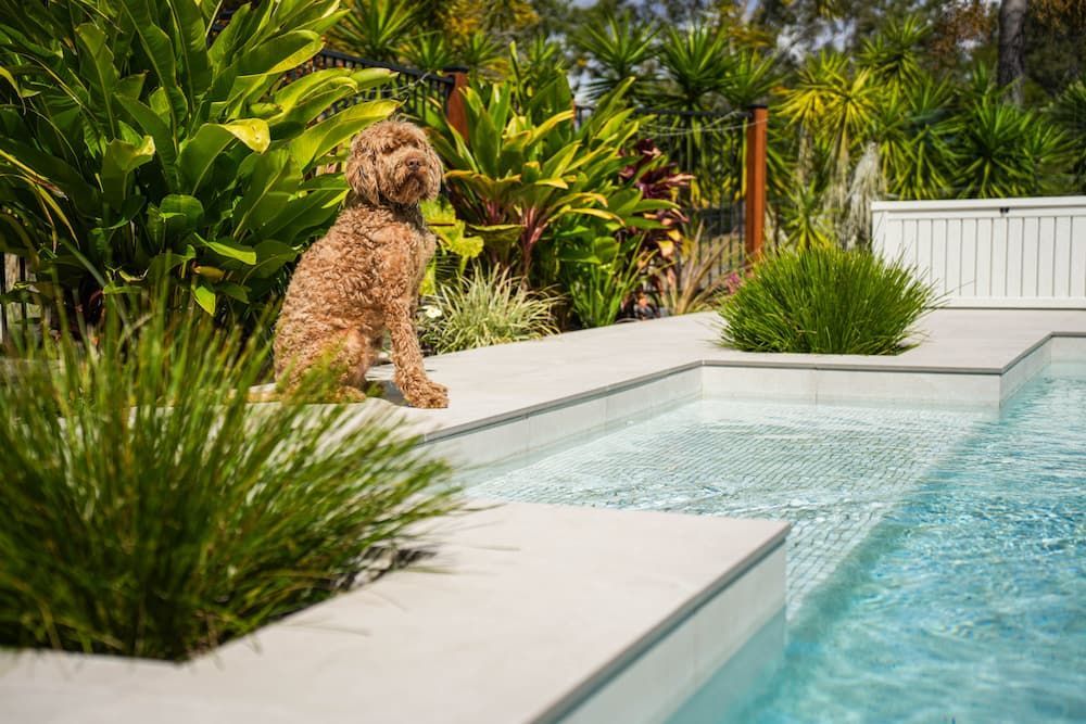 Aerial View of a Sunny Beach With Turquoise Water and White Sand â Concrete Pool Projects in Sunshine Coast, QLD