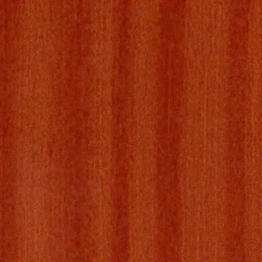 Vernice protettiva per legno