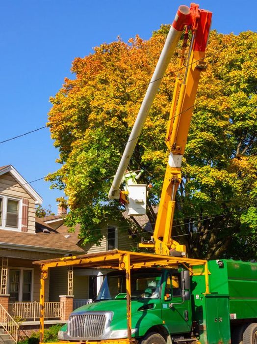 A green truck with a crane attached to it is cutting a tree.