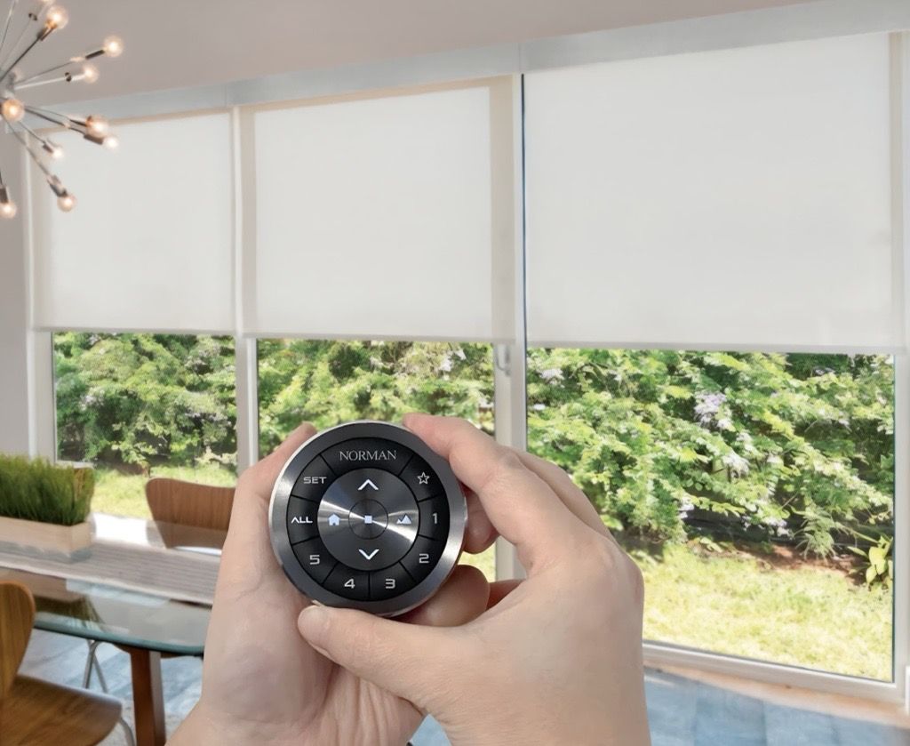 Hands holding a remote control, with white roller shades and a window view of trees.