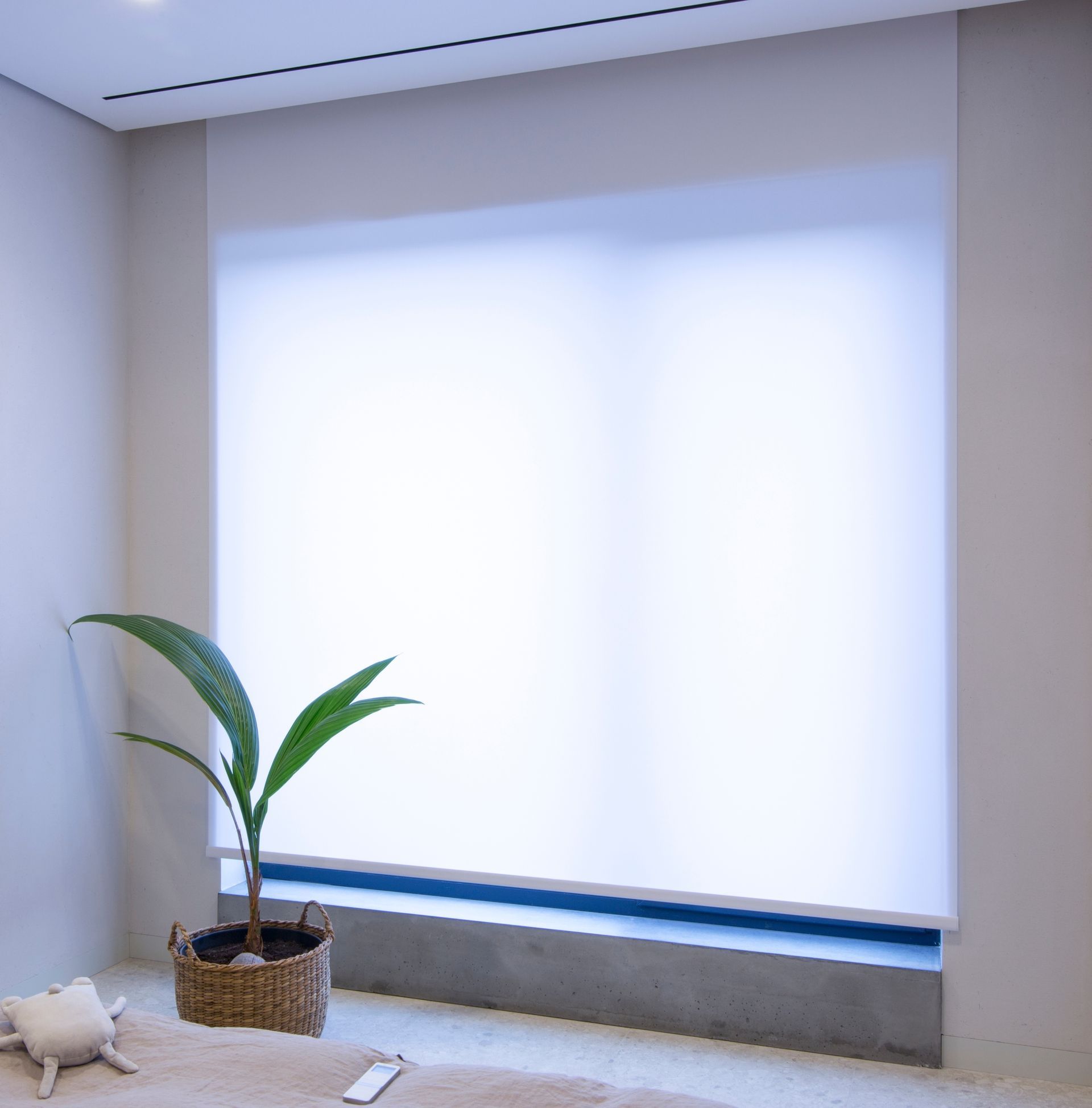 Blinds covering a bright window beside a potted plant in a minimalist room.