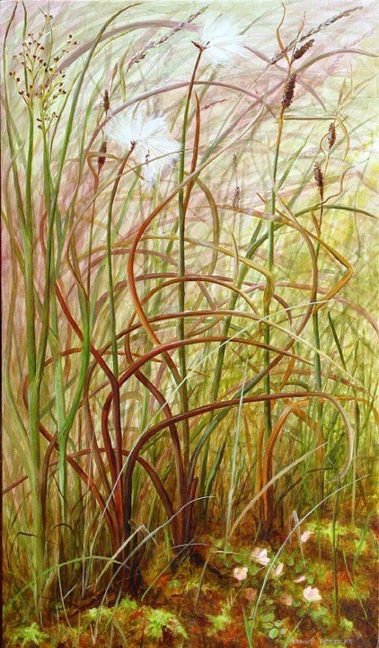 Yanny Petters' Common Cottongrass, a beautiful painting on board, part of the artist's 2008 solo show Fieldwork, organised by Olivier Cornet at the Riverside Gallery, Bridgewater Centre, Arklow (Co. Wicklow).
