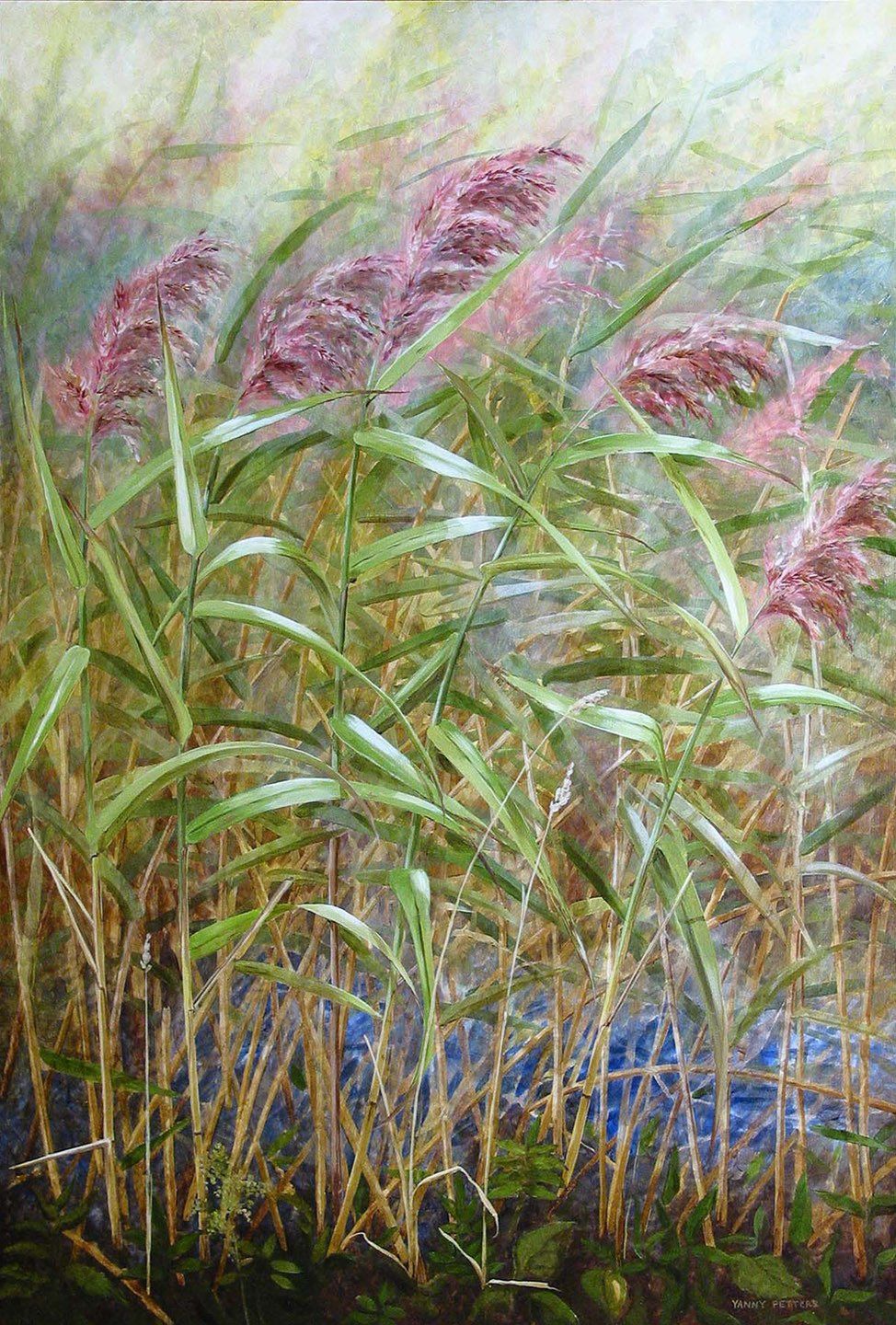 Yanny Petters' Common reed, a beautiful painting on board, part of the artist's 2008 solo show Fieldwork, organised by Olivier Cornet at the Riverside Gallery, Bridgewater Centre, Arklow (Co. Wicklow).