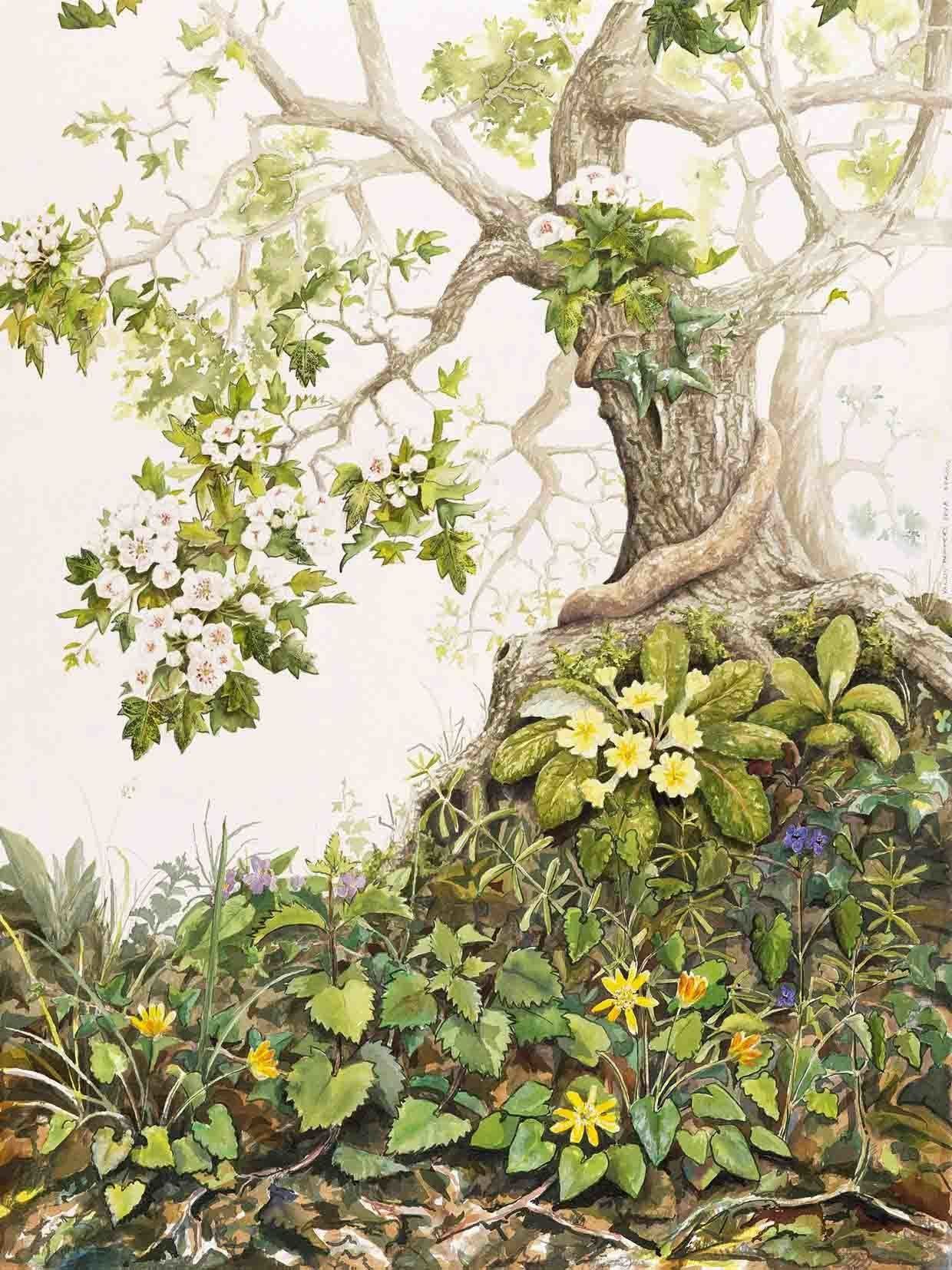 Watercolour of Spring in a Hedgerow by Yanny Petters at Olivier Cornet Gallery