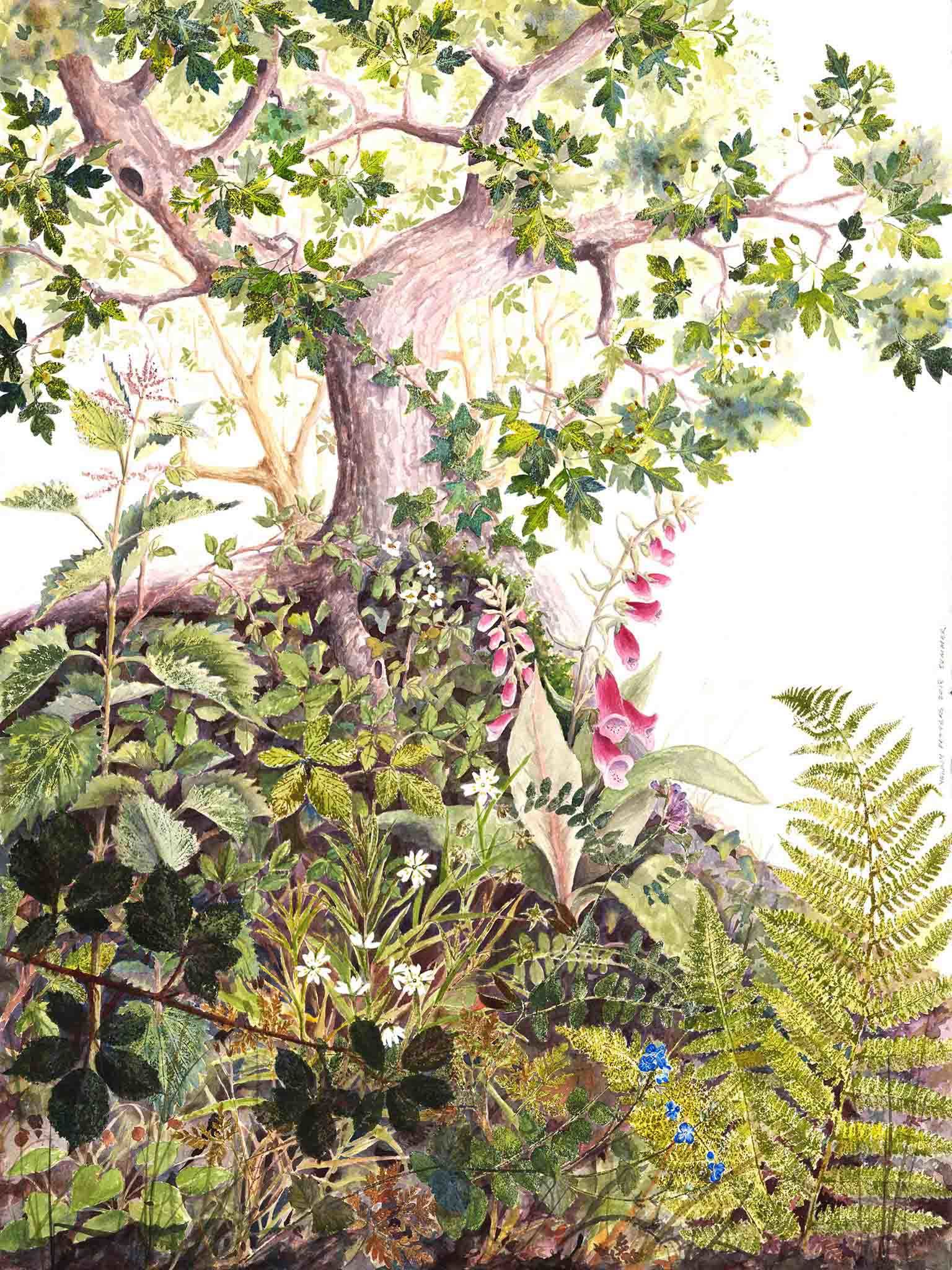 Watercolour of Summer in a Hedgerow by Yanny Petters at Olivier Cornet Gallery
