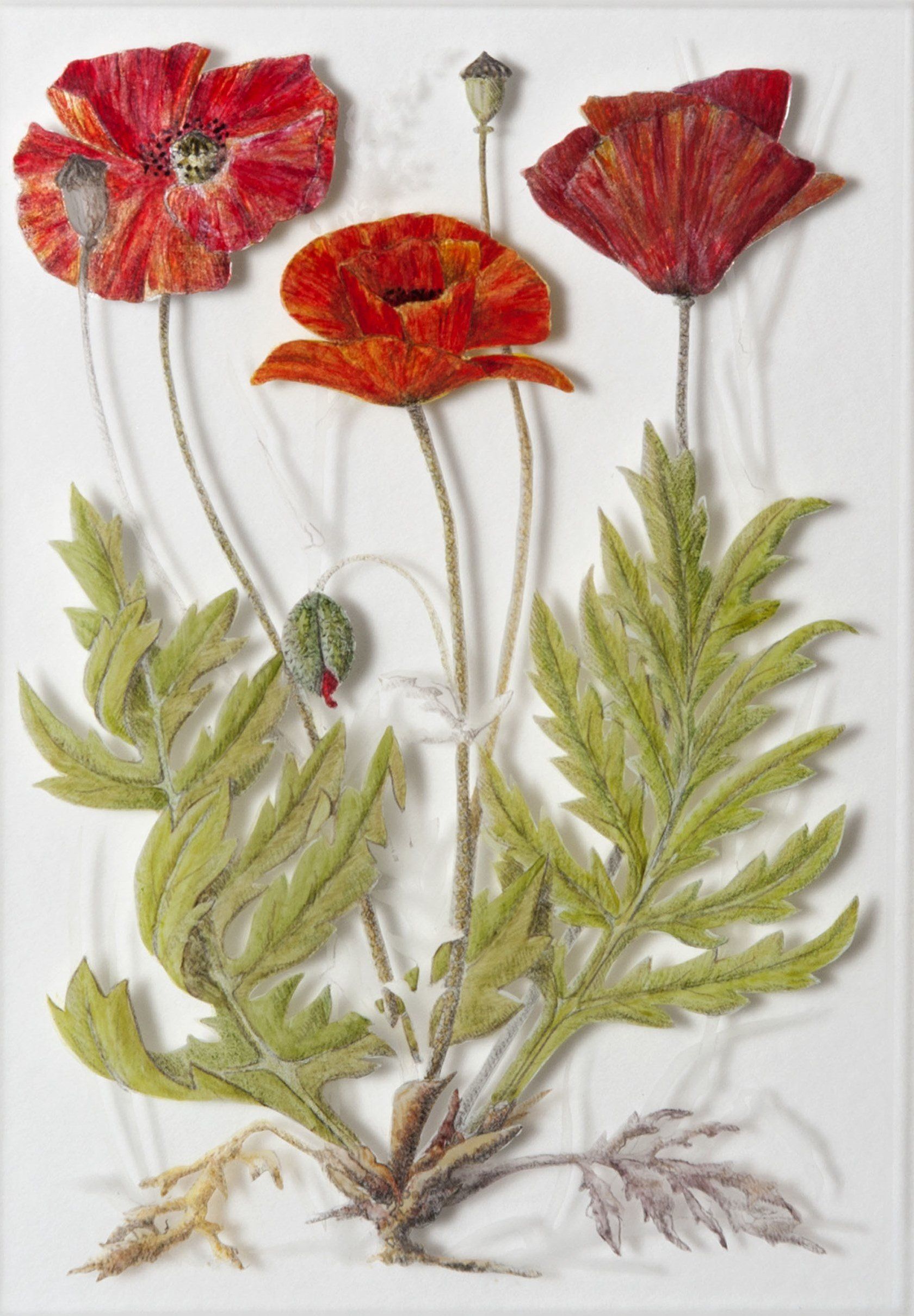 Poppies, a verre églomisé painting by Olivier Cornet Gallery artist Yanny Petters