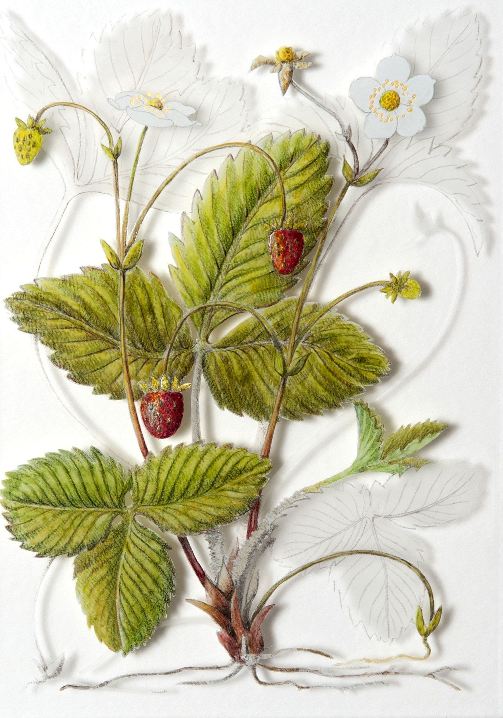 Wild Strawberries, a verre églomisé painting by Olivier Cornet Gallery artist Yanny Petters