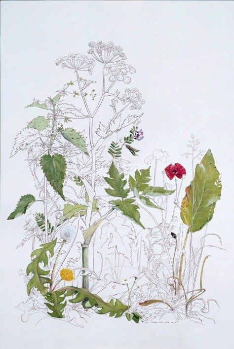 'The plants we played with' by Olivier Cornet Gallery artist Yanny Petters, acrylic on gesso panel, collection of the National Gallery of Ireland, Dublin