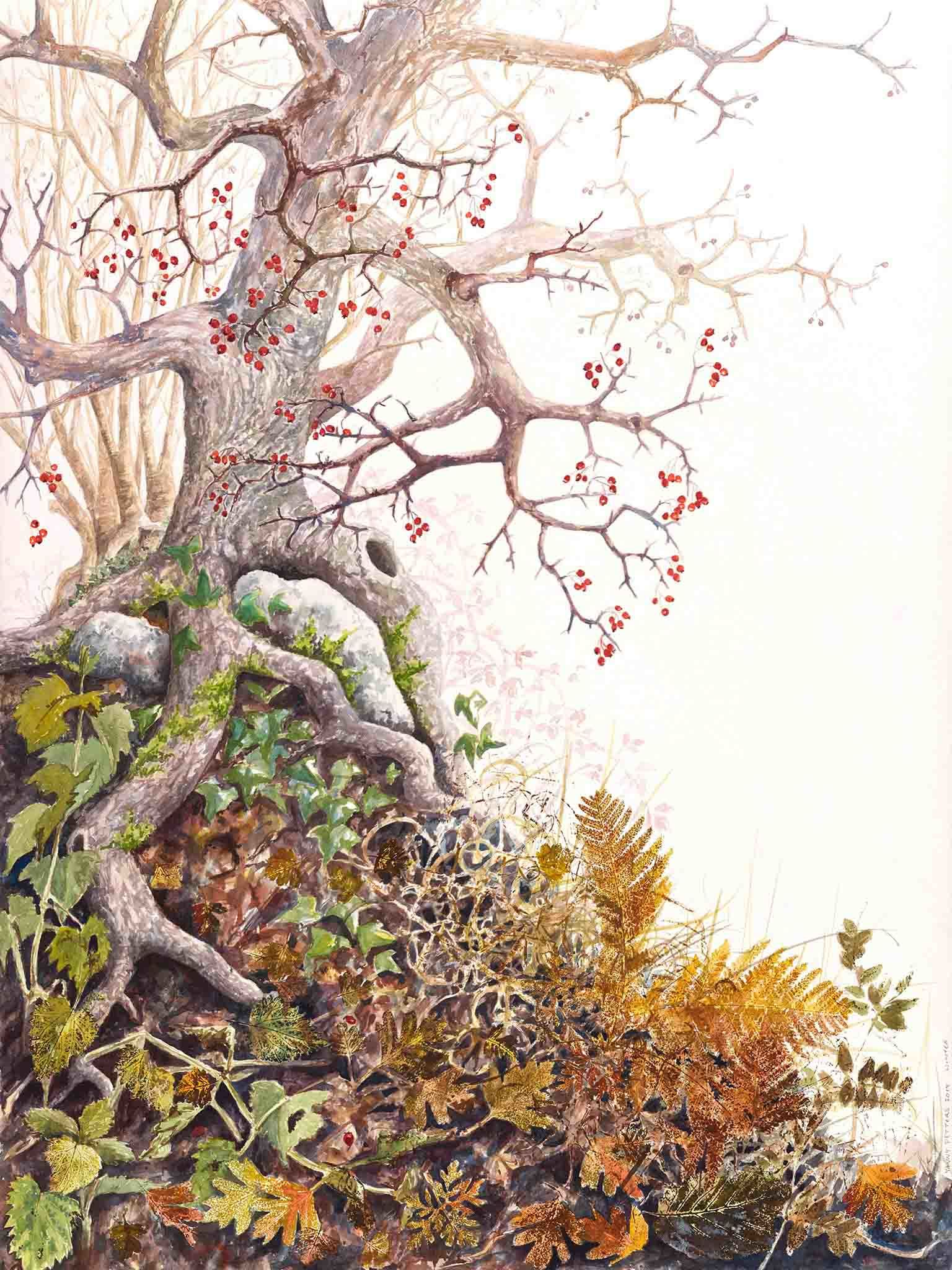 Watercolour of Winter in a Hedgerow by Yanny Petters at Olivier Cornet Gallery