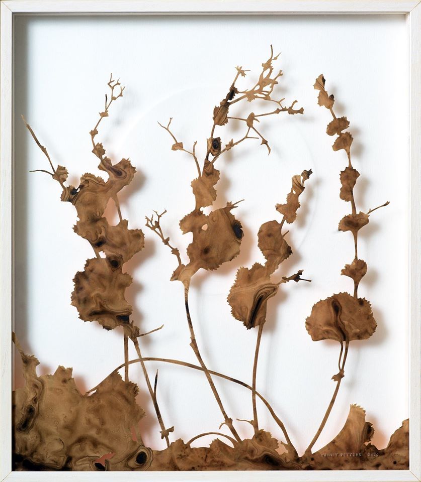 Lady's Mantle Winter Solstice, December,  a verre églomisé painting by Irish artist Yanny Petters, Olivier Cornet Gallery