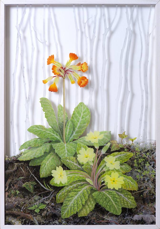 Primrose and Oxlip, March, a verre églomisé painting by Irish artist Yanny Petters, Olivier Cornet Gallery