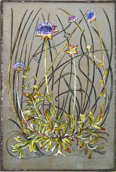 Yanny Petters' Devilsbit Scabious, a beautiful verre églomisé painting (reverse painting on glass), part of the artist's 2008 solo show Fieldwork, organised by Olivier Cornet at the Riverside Gallery, Bridgewater Centre, Arklow (Co. Wicklow).