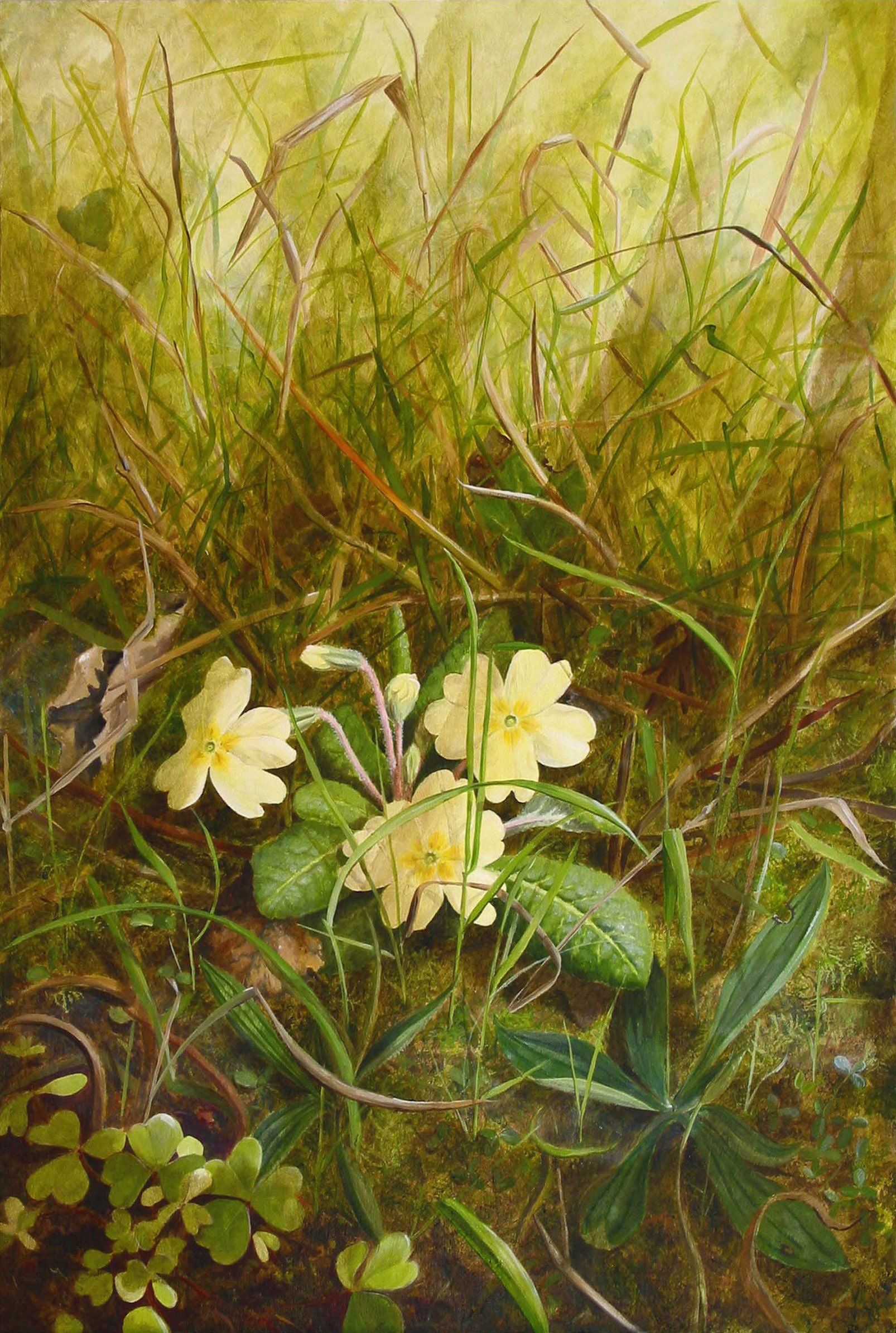 Yanny Petters' Field edge with Primrose, a beautiful painting on board, part of the artist's 2008 solo show Fieldwork, organised by Olivier Cornet at the Riverside Gallery, Bridgewater Centre, Arklow (Co. Wicklow).
