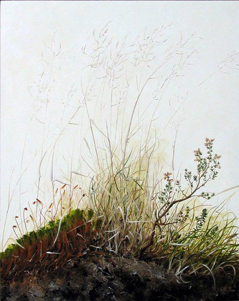 Yanny Petters' Heathland in Winter (Sugarloaf Mountain), a beautiful painting on board, part of the artist's 2008 solo show Fieldwork, organised by Olivier Cornet at the Riverside Gallery, Bridgewater Centre, Arklow (Co. Wicklow).