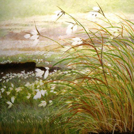 Yanny Petters' Summer Snow at the Sally Gap, a beautiful painting on board, part of the artist's 2008 solo show Fieldwork, organised by Olivier Cornet at the Riverside Gallery, Bridgewater Centre, Arklow (Co. Wicklow).